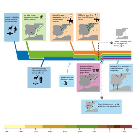 Genetic history of the Iberian Peninsula .